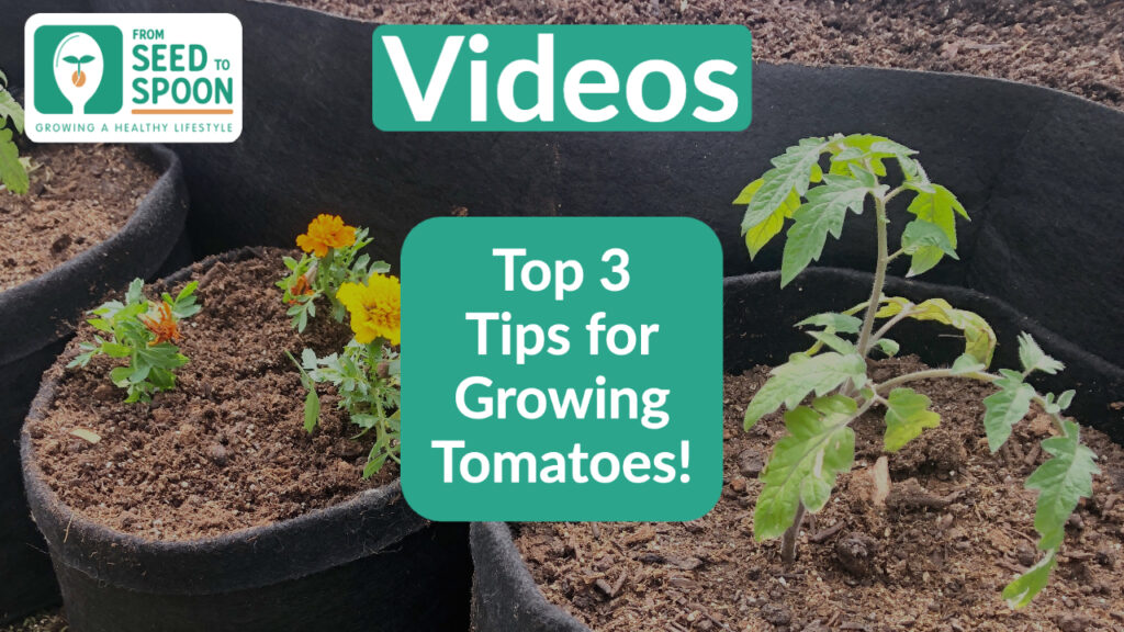 Tomato Tips