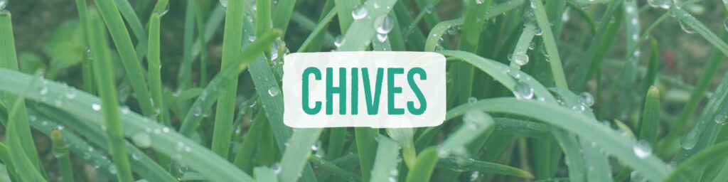 chives