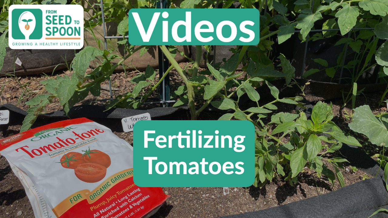 Fertilizing Tomatoes