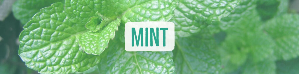 mint