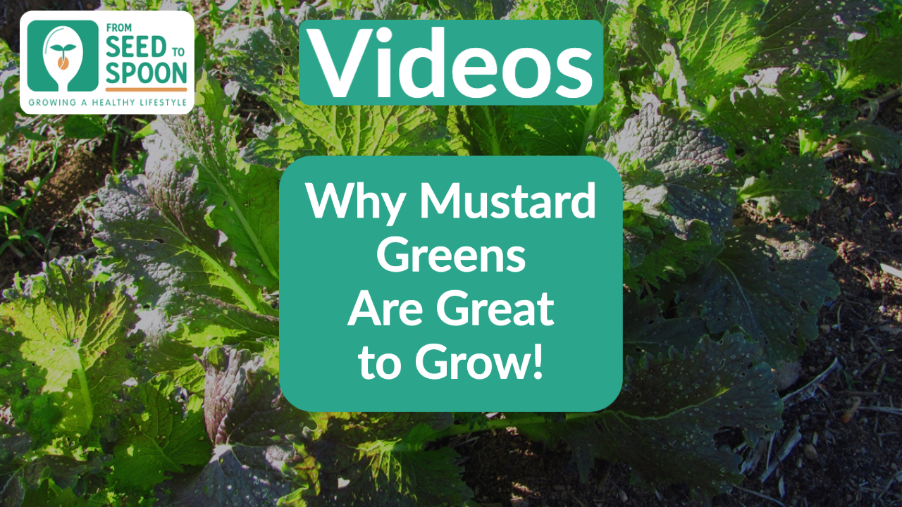 Mustard Green