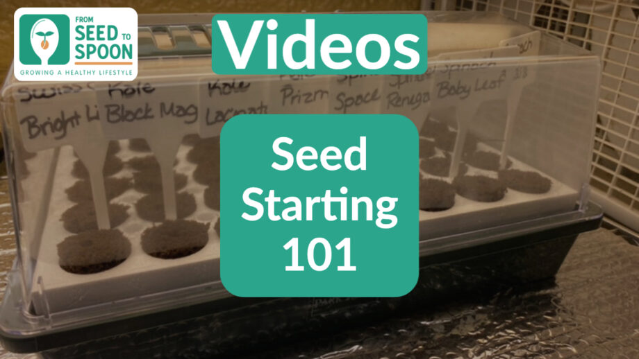 seed starting