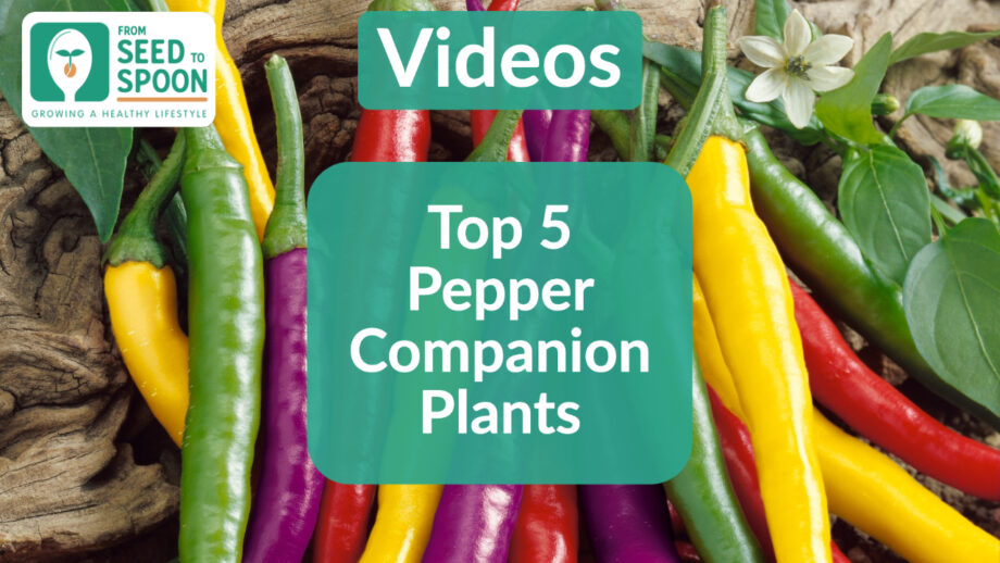 pepper companions
