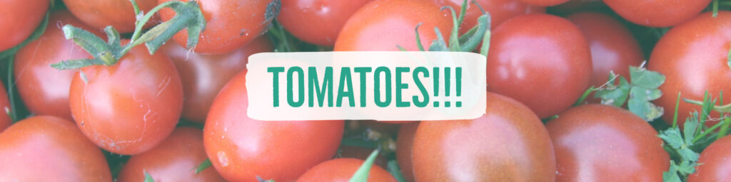 tomatoes header