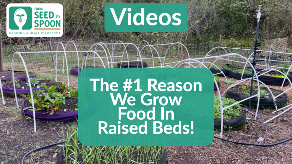 Why we grow in raised beds