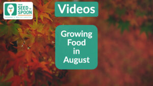 August Growing