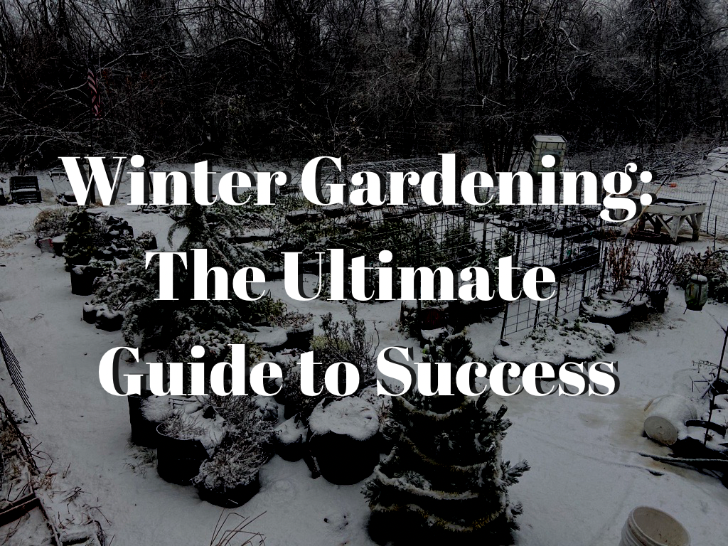 winter gardening guide to success