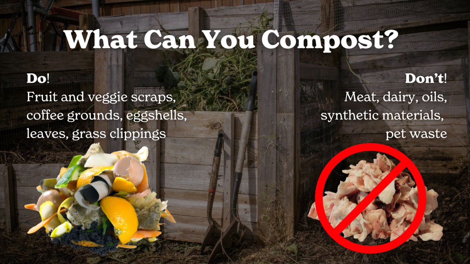 Composting 101 How to Get Started with Composting at Home From Seed