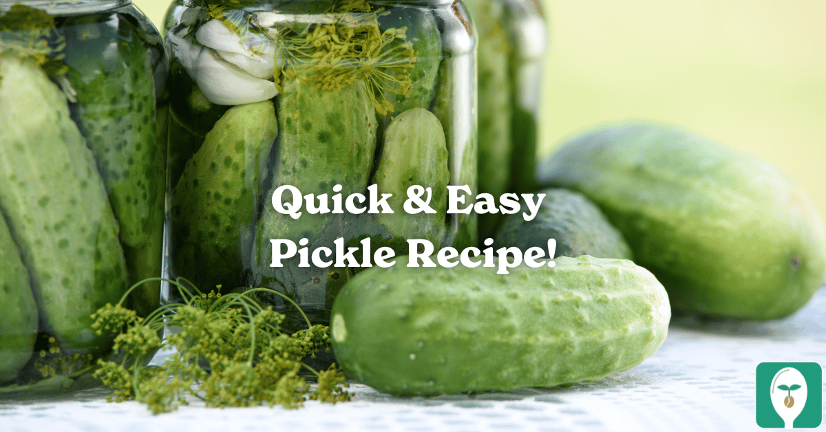How to Make Pickles from Cucumbers Harvested in Your Backyard! From